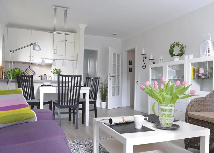 Auster Apartamento *